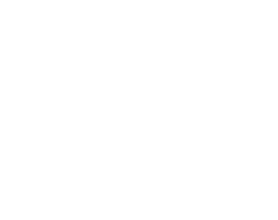 Vans Warped Tour logo